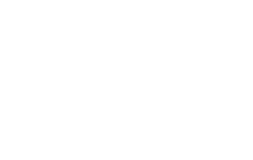 FERIA VALENCIA